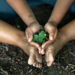 Ayurvedic Services  thumbnail