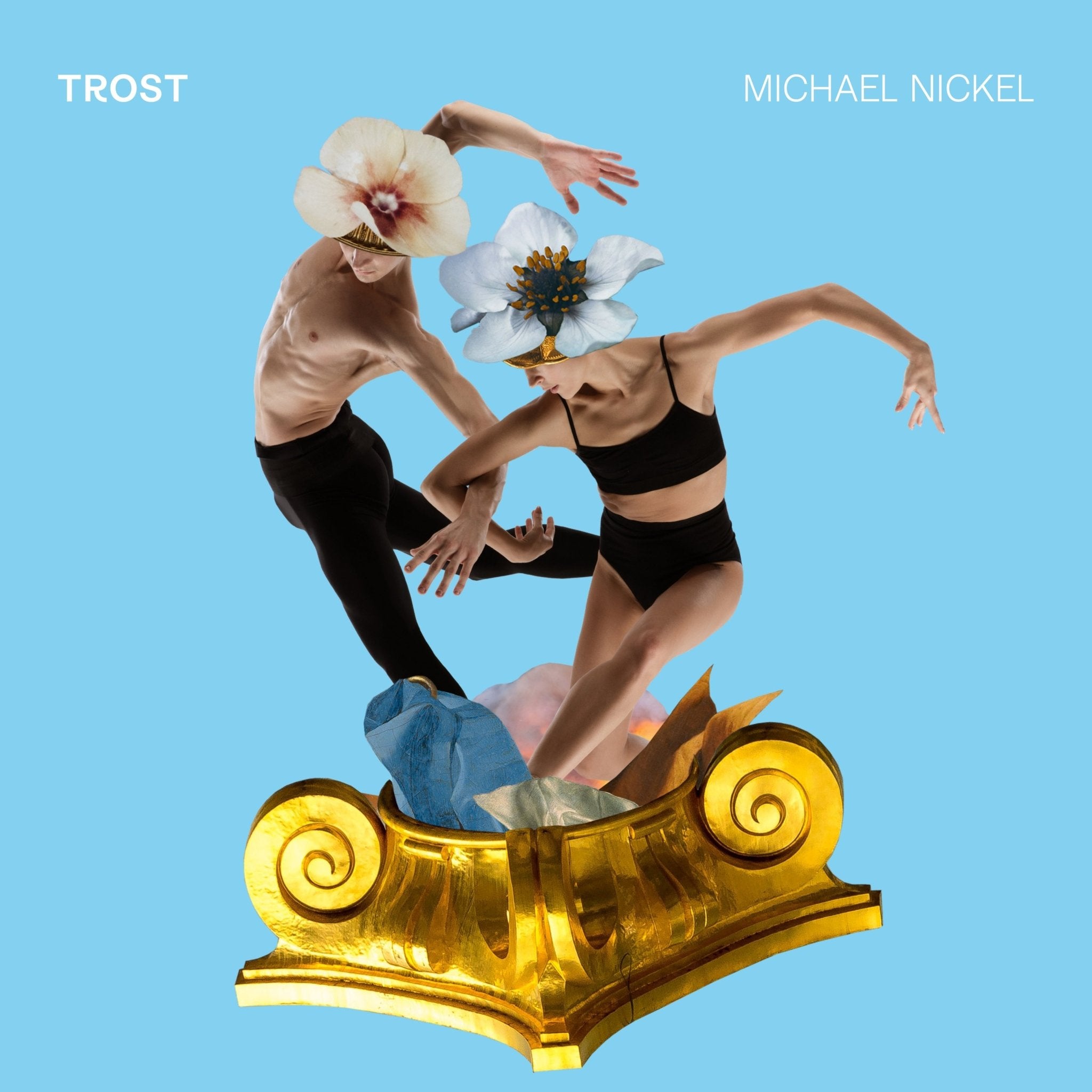 TROST Album – Vinyl – von Michael Nickel thumbnail