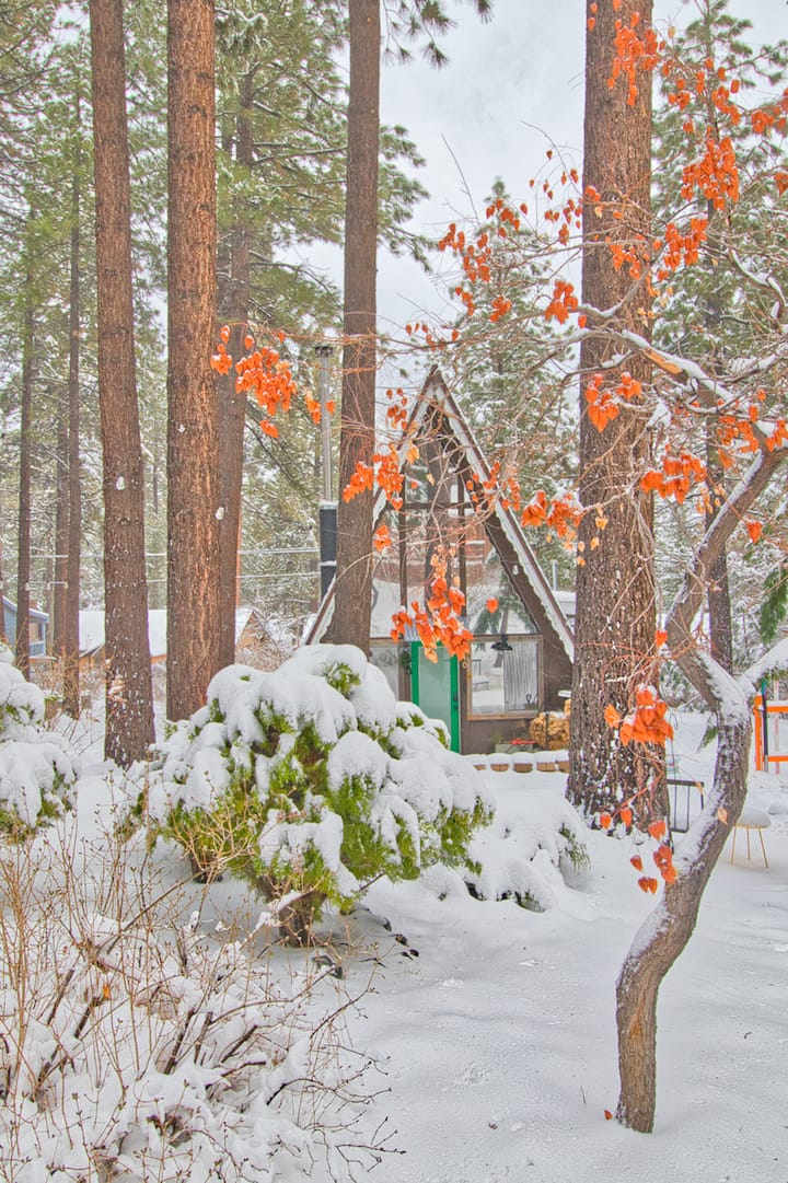 Home in Wrightwood · ★4.99 · 2 bedrooms · 2 beds · 1 bath thumbnail