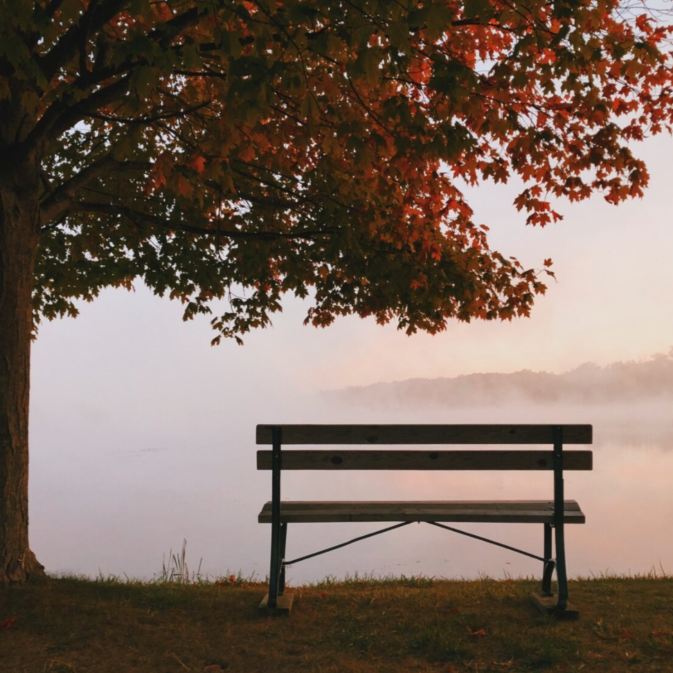 How we see self while looking outwards - Bloog thumbnail