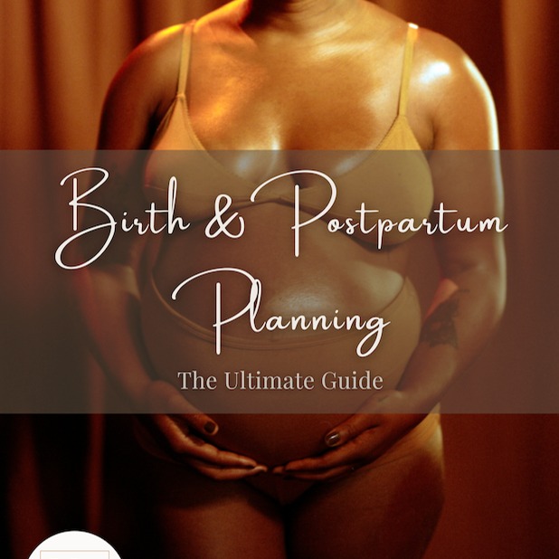 Get The MaMA Space Guide to Birth & Postpartum Planning! thumbnail