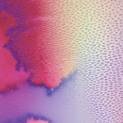 Cosmosis in Egypt with Katja - Jan 17 - 20 thumbnail