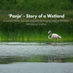 Panje Wetland Story Map  thumbnail