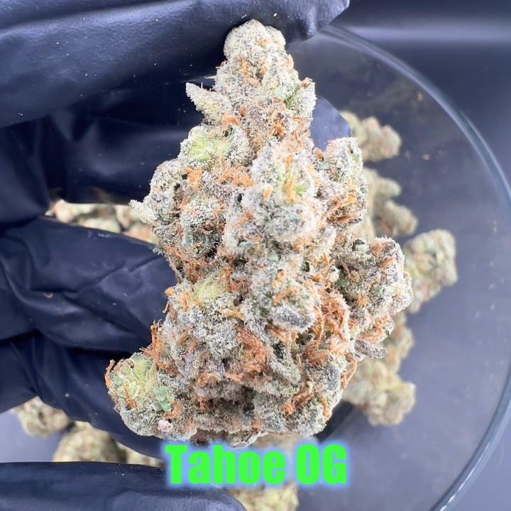 Grade: 	AAA Indoor
Strain: 	Tahoe OG
Lineage: 	OG Kush (select Phenotype)
Type: 	Indica Dominant Hybrid (90/10) 
Highlig