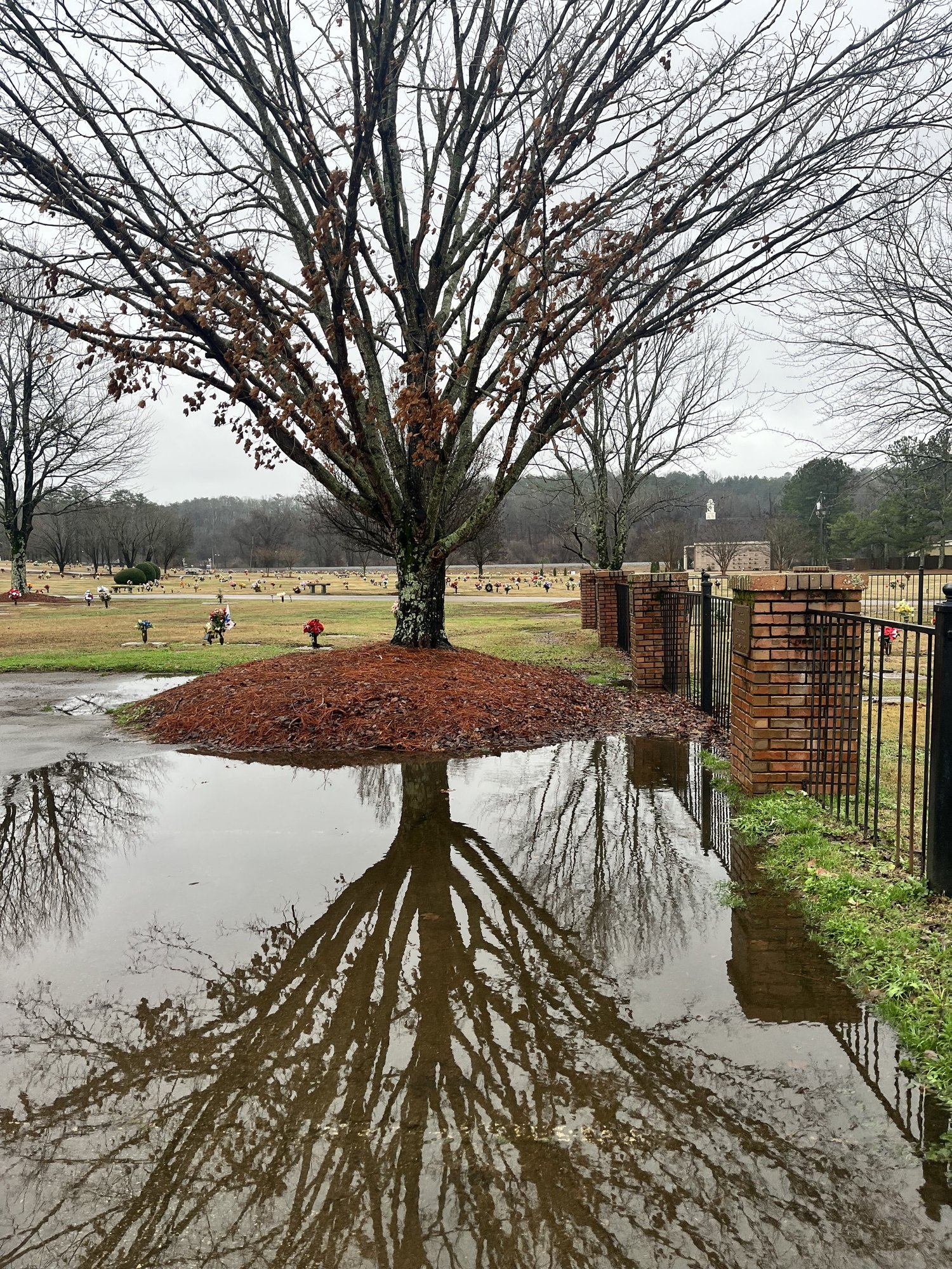 A Gentle Invitation to Abide in Prayer — Little House Studio thumbnail