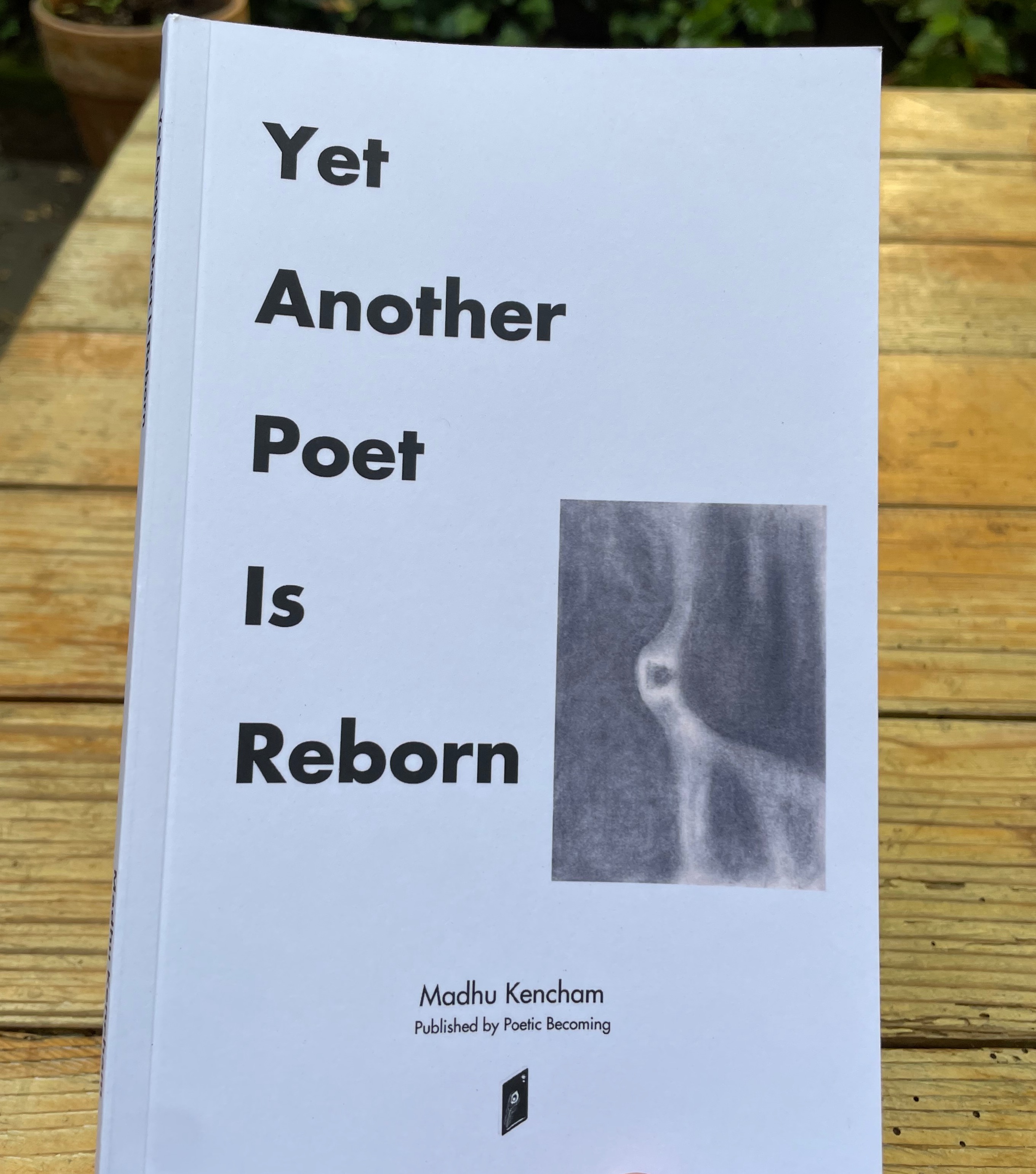 Debut poetry book thumbnail