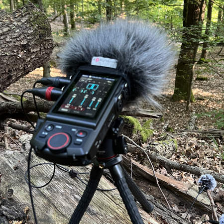 All our sound libraries thumbnail