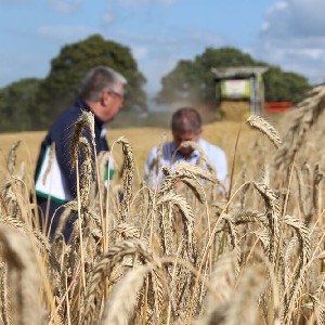 Seedtech Hybrid Rye Agronomy Guide thumbnail