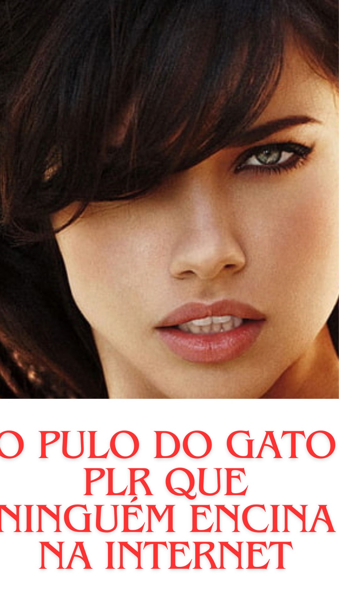 EMPREENDEDOR MESTRE EM PLR thumbnail
