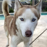 Patreon signup!💖 thumbnail