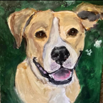 Donate/ Our official site  thumbnail