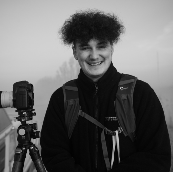 BioSite profile picture for @harry