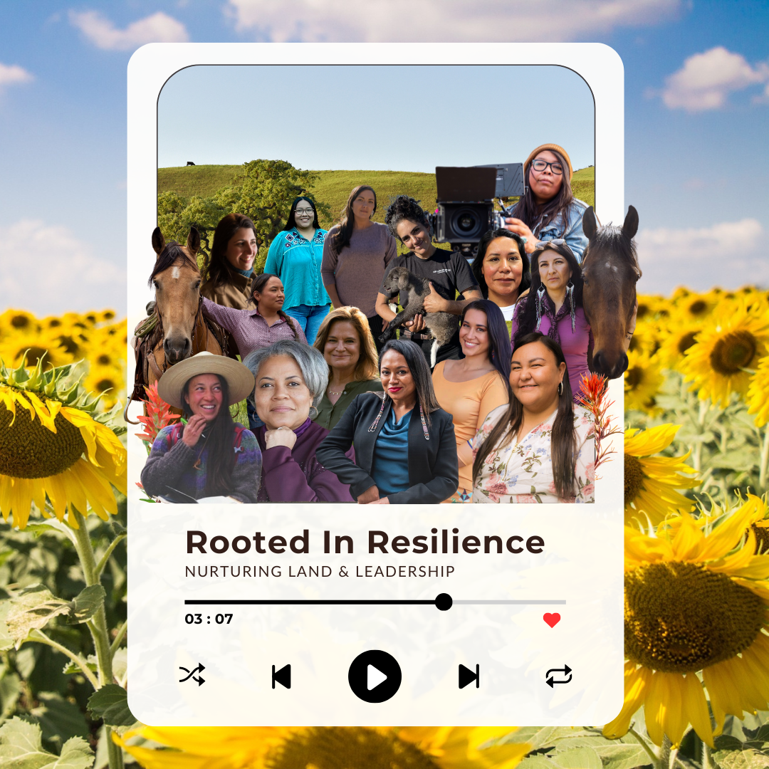 Confluence Playlist thumbnail