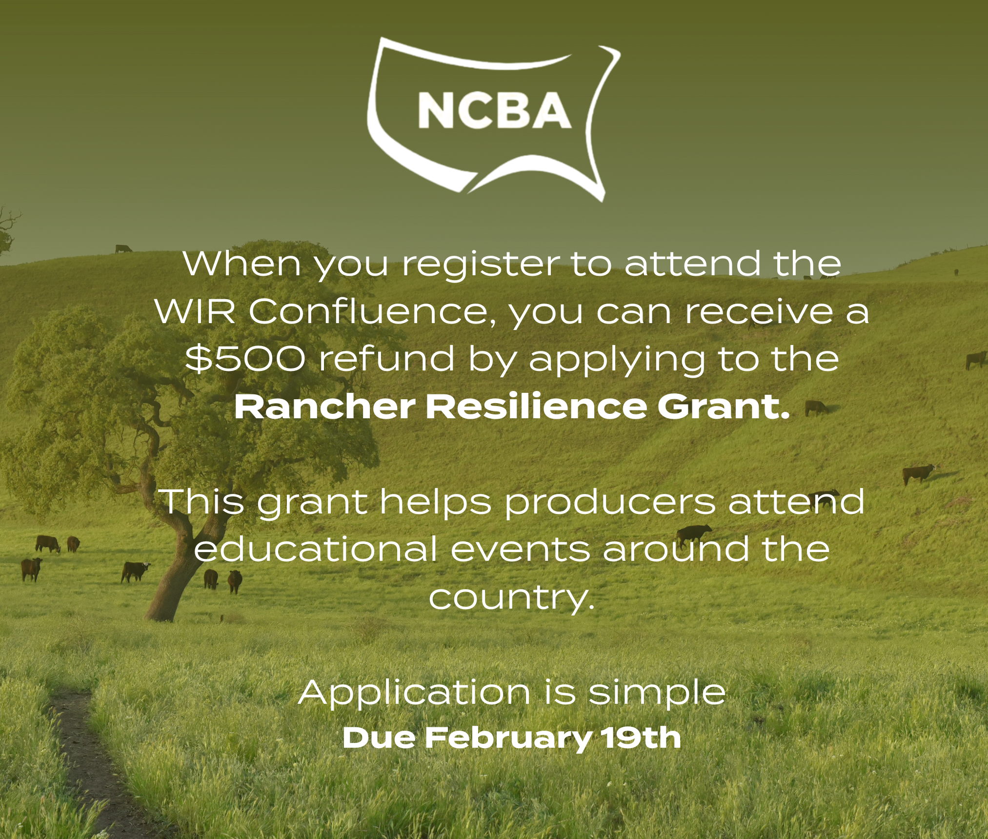 Rancher Resilience Grant for Confluence Attendees thumbnail
