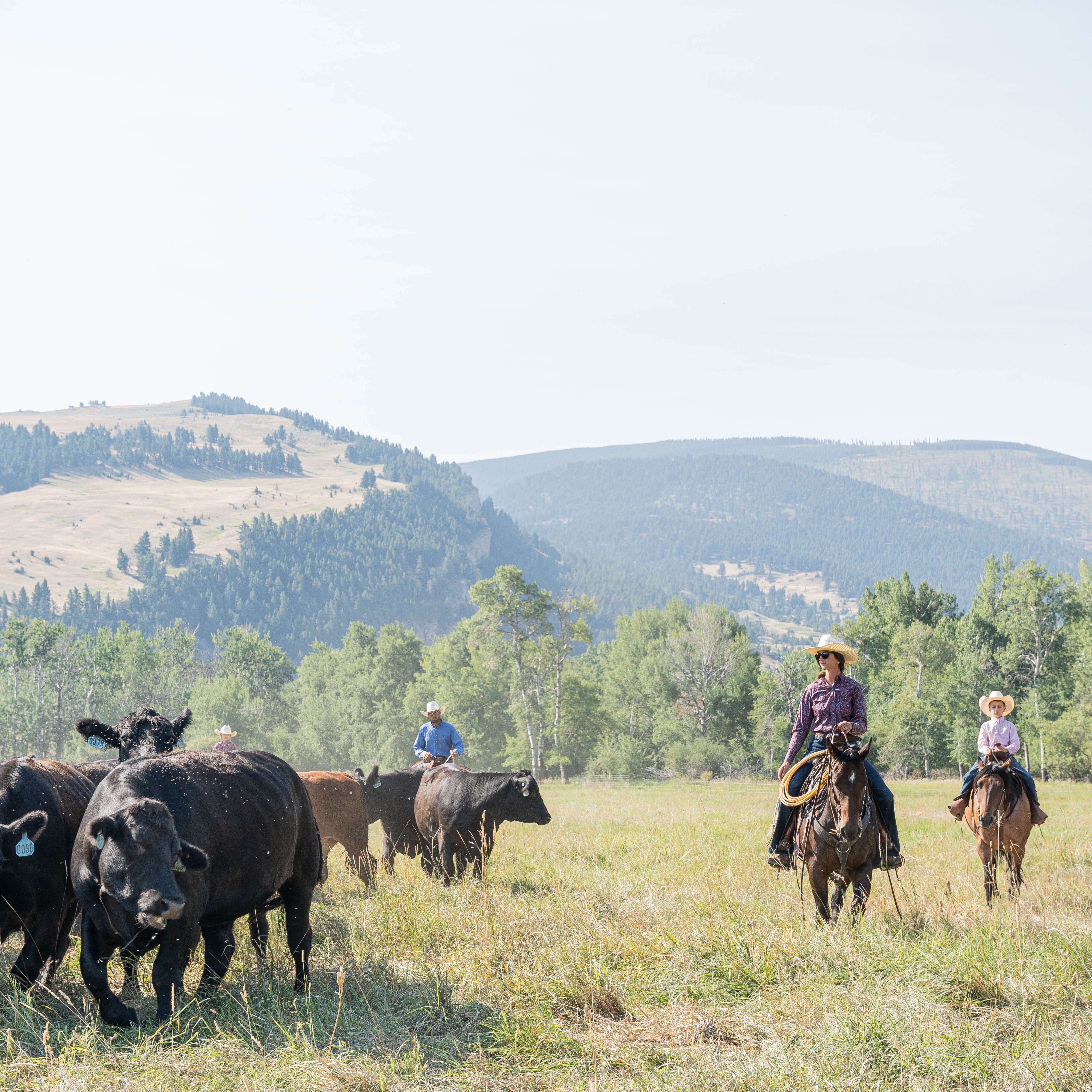 Q+A With Cowgirl Meat Co Jamie Stoltzfus thumbnail