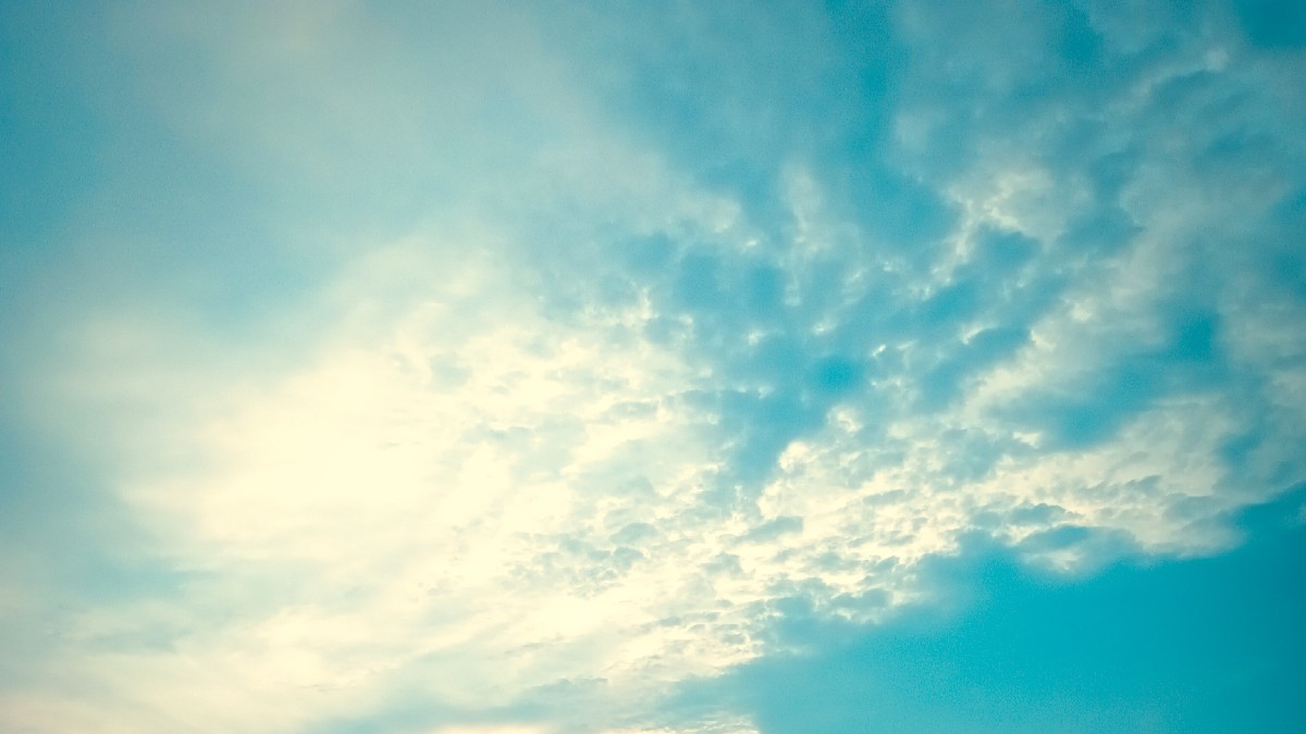 BioSite banner for @Siddhant
