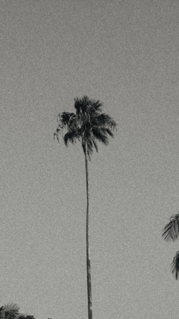 PRINTS & FRAMES thumbnail