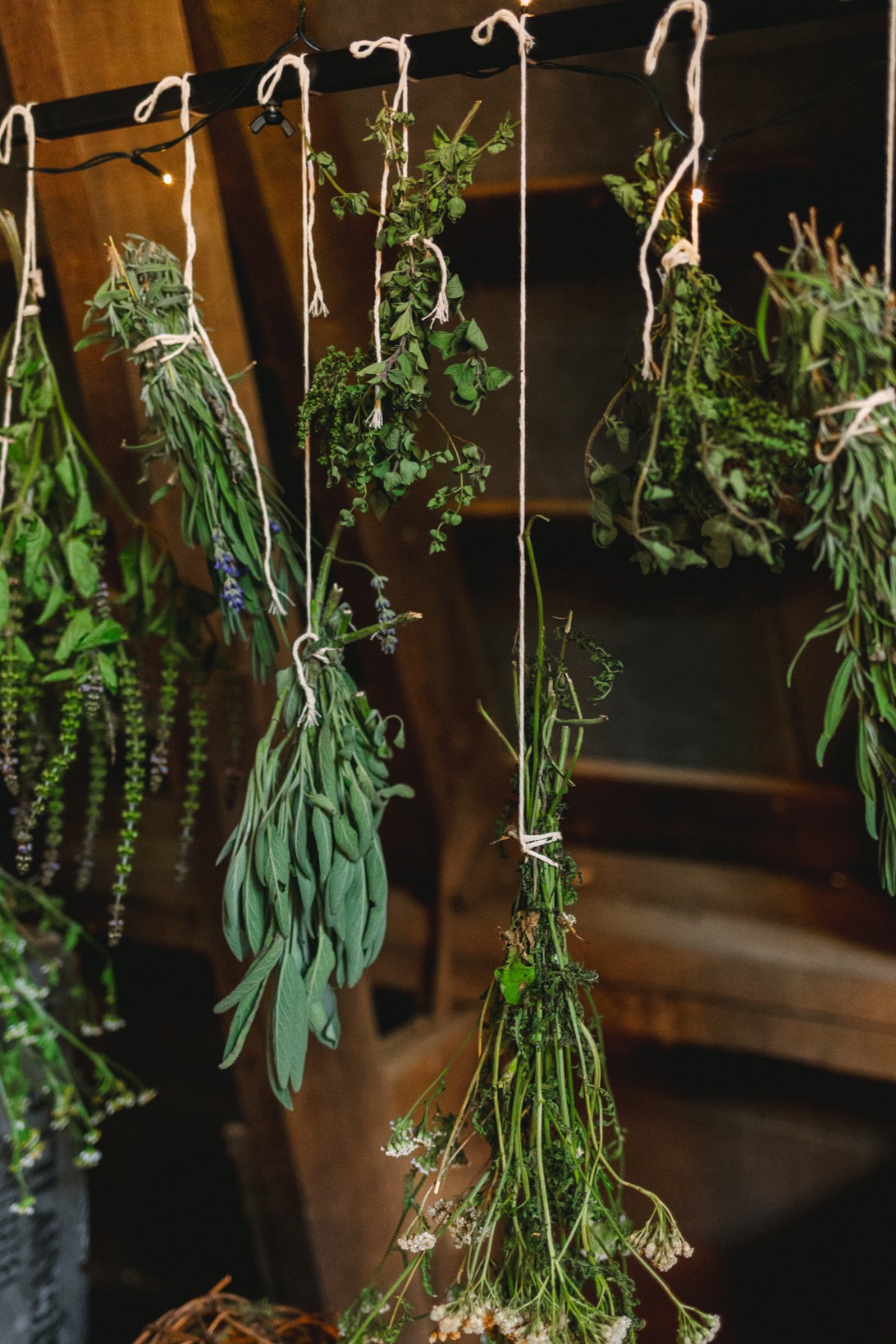 Herbal Academy Classes & Goods   thumbnail