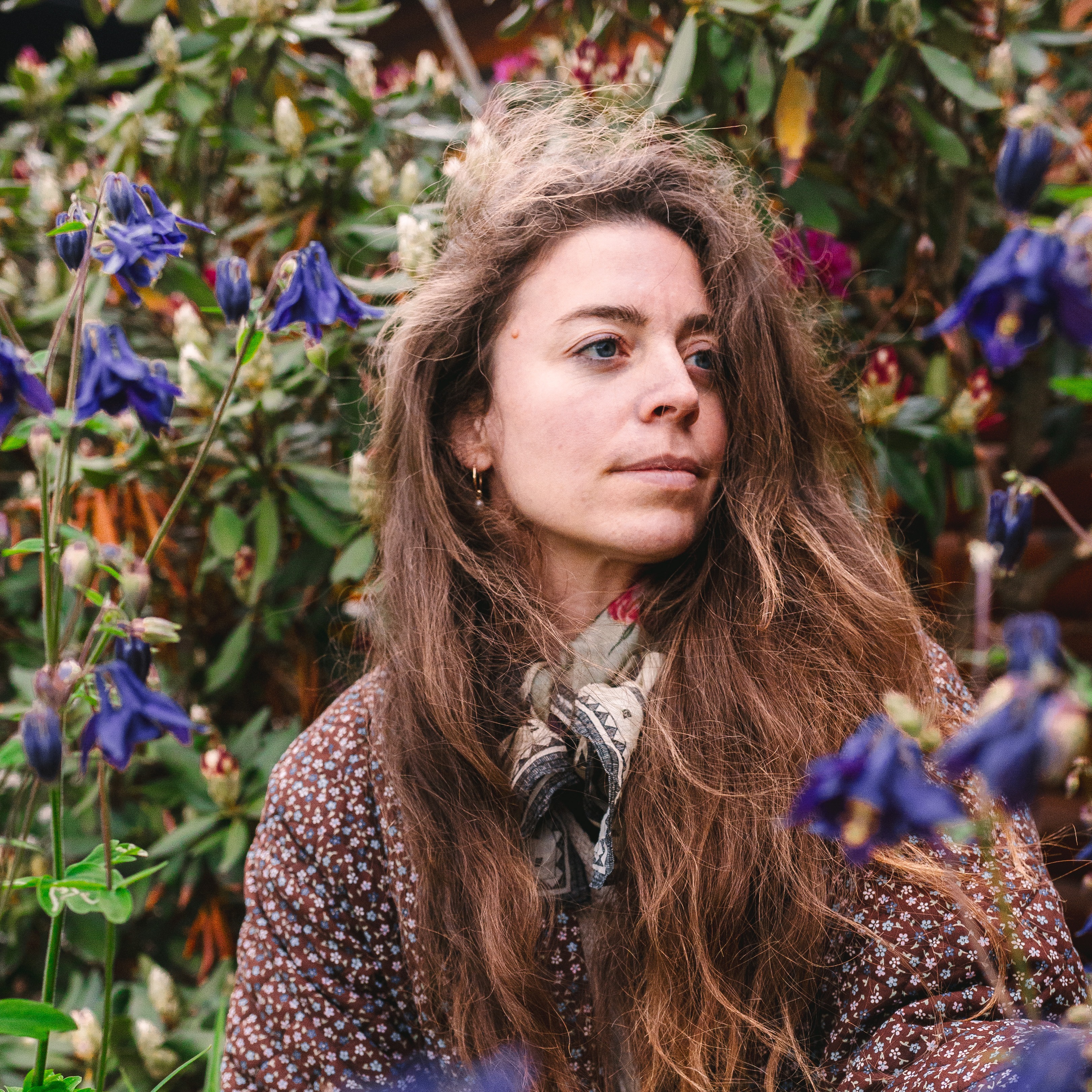 Read me on substack + Local Wild Updates  thumbnail