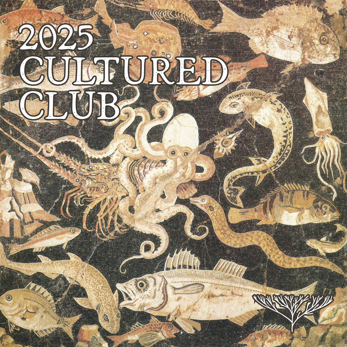 2025 Cultured Club Membership! thumbnail