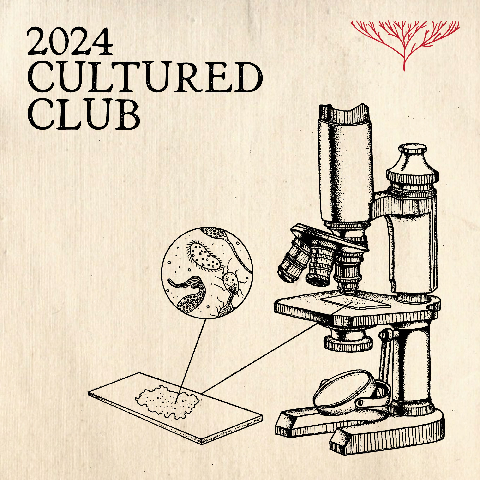 2024 Cultured Club Membership! thumbnail