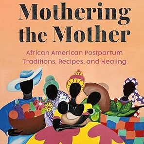 Mothering the Mother by Shafia Monroe (Author), Erykah Badu (Foreword)  thumbnail