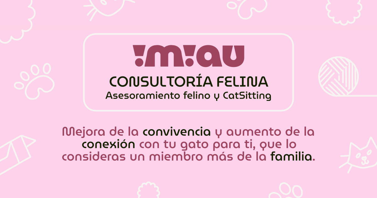 iMiau  🐾 website thumbnail