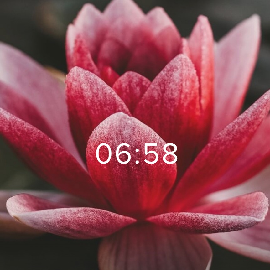 Free Meditation in Insight Timer thumbnail