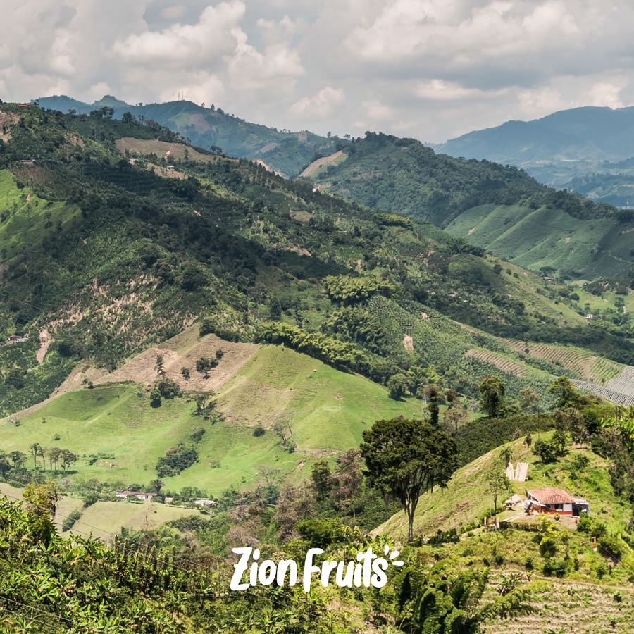 Colombia, land of contrasts and unparalleled beauty. The fields where we cultivate our exotic fruits are a gift from nat