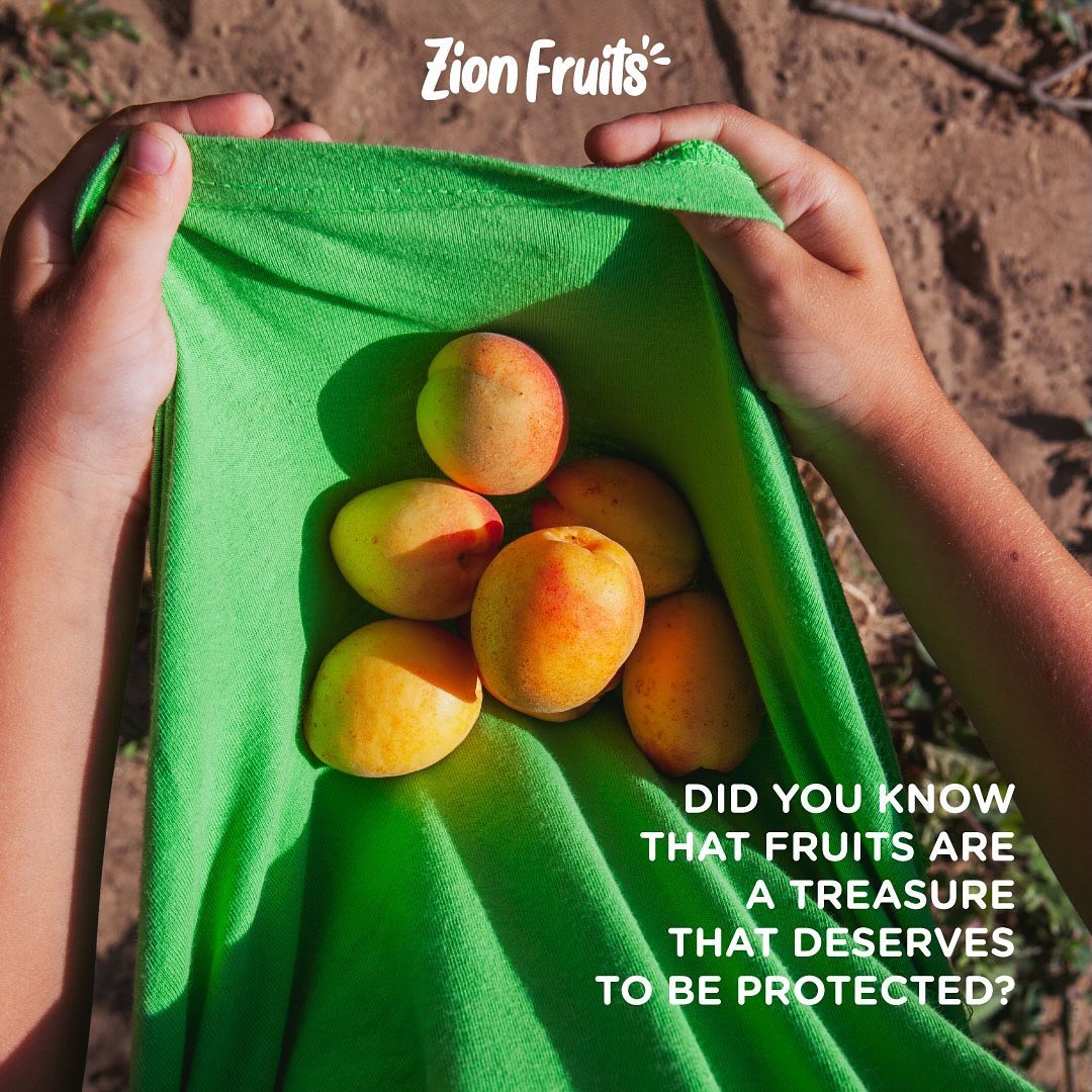 Did you know that fruits are a treasure that deserves to be protected?✨🔐🥭

The reason is:👇🏻

🥭 A Unique Nutritional Gift