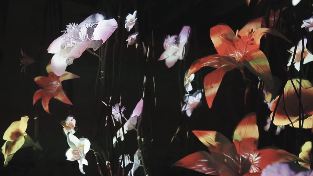 FLOWER WHISPER thumbnail