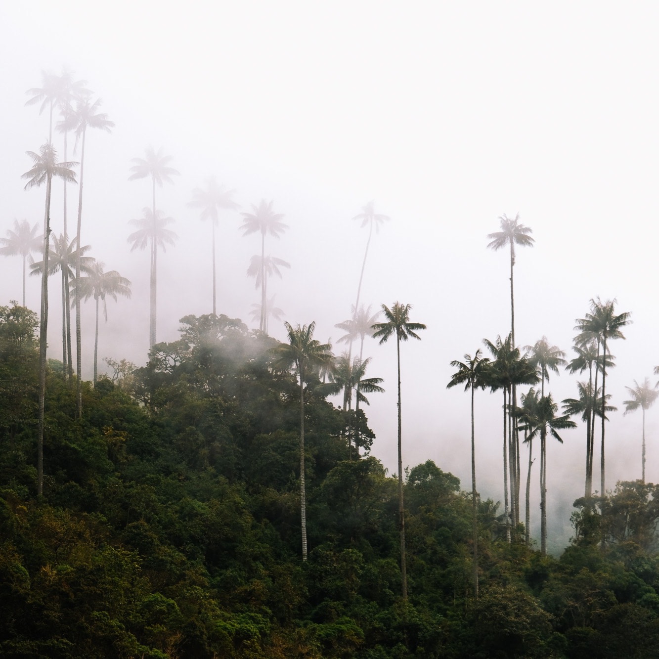 Colombia Retreat Dec 2025 thumbnail