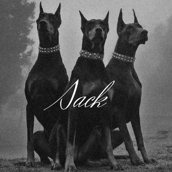 BioSite profile picture for @sack