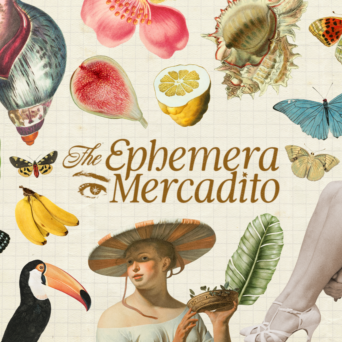 Plantillas de Notion y Packs de Collage thumbnail