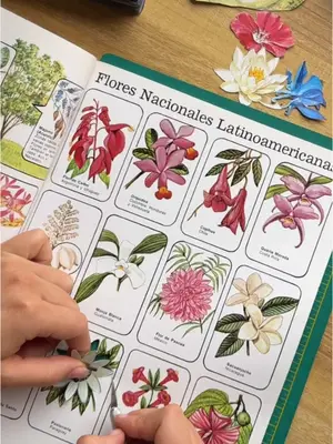 Sanadora y cíclica🌀🌷 #marzollagetijerista @latijeracolectiva  #lastijeristas #latijeracolectiva #comunidadtijerista #mix