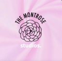 Presets by The Montrose Studios thumbnail