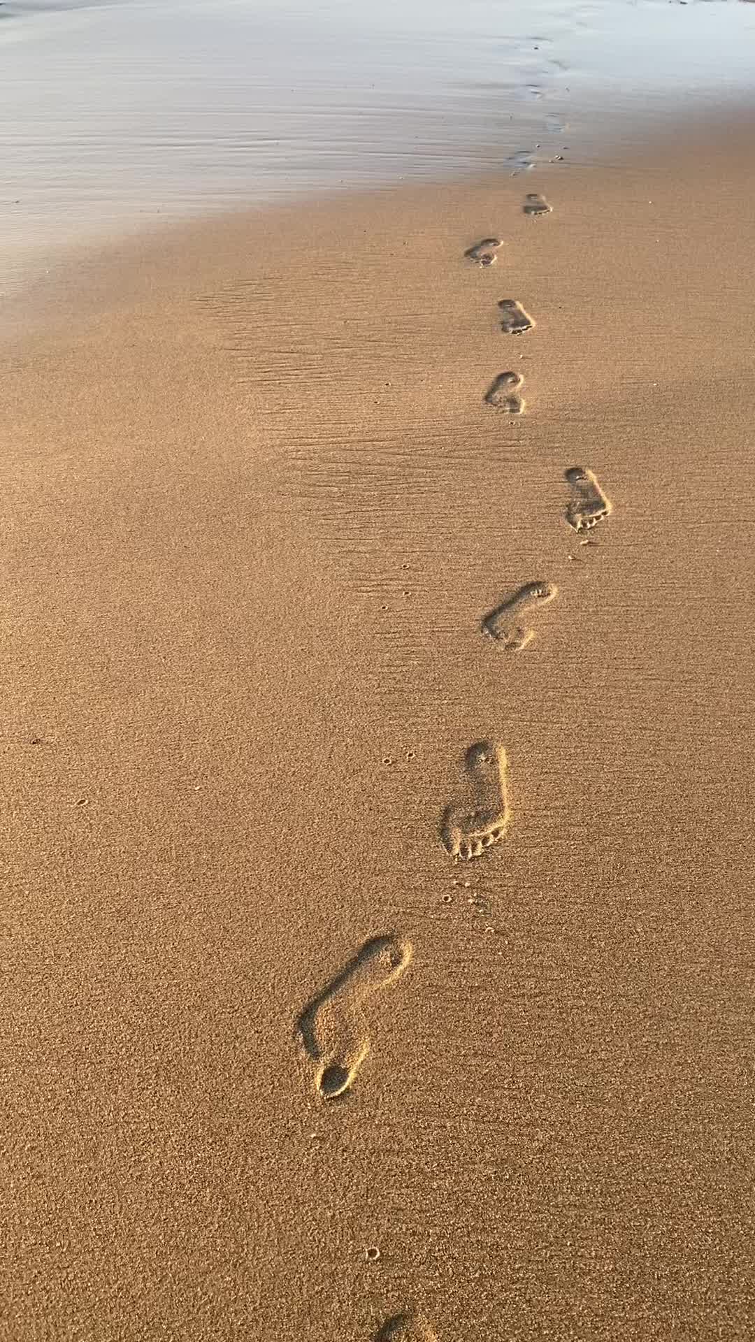 Tomorrow is 2023 ! Look how far you’ve come! #fyp #newyear #beach #socal #lagunabeach