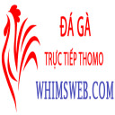 @dagawhims · Đá Gà Trực Tiếp Thomo thumbnail