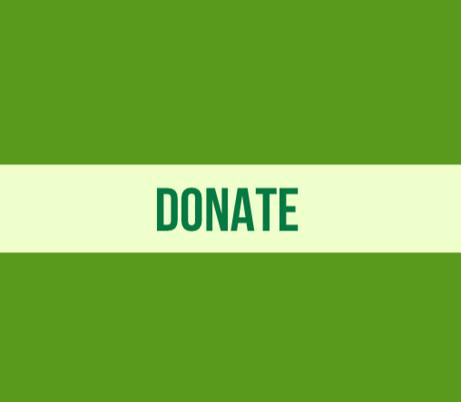 Donate - Lewisham Green Party thumbnail