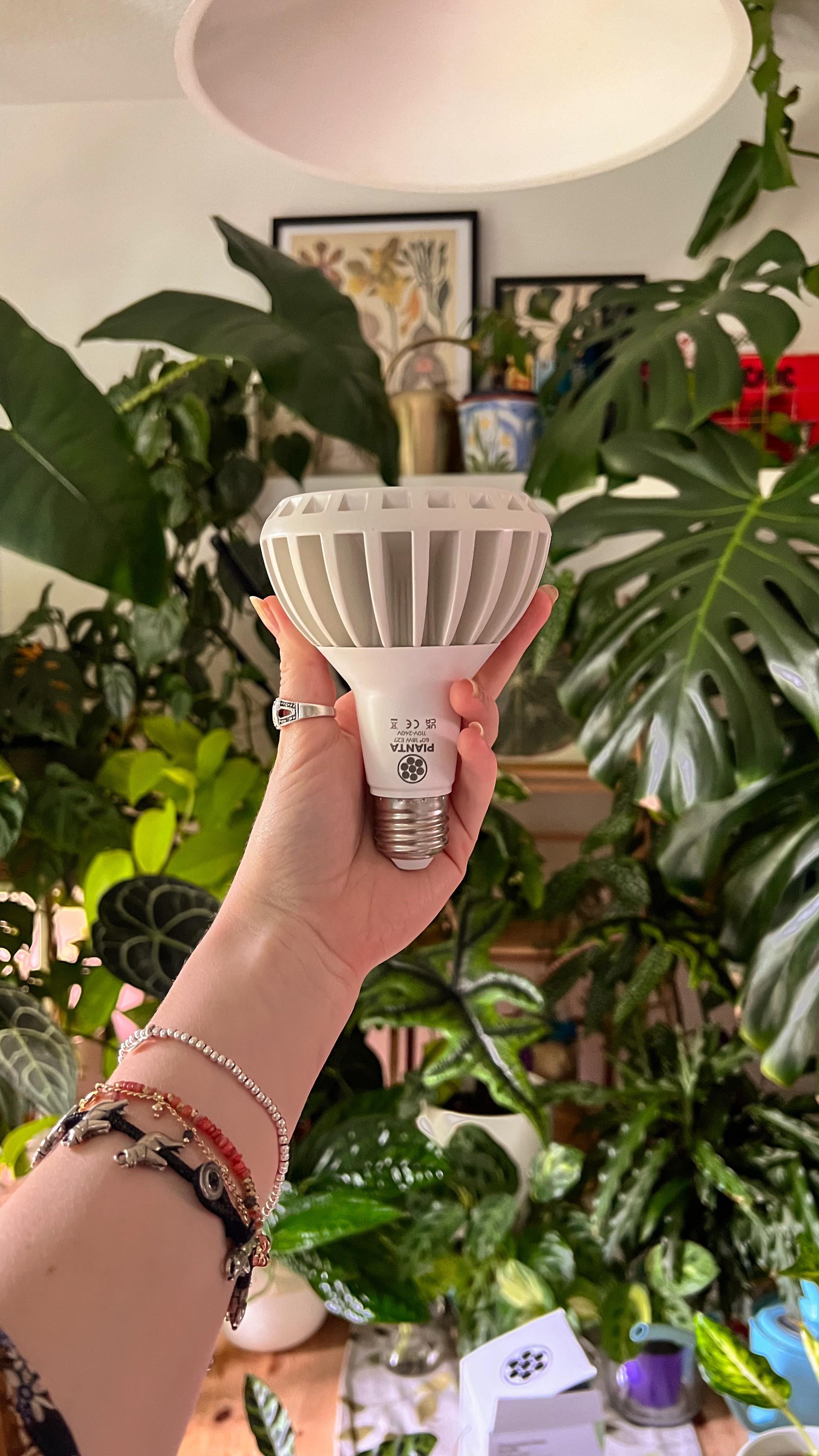 Want healthy plants this winter? Try adding some grow lights to your home! 💡💚🌱

This may be old news to some of you guys