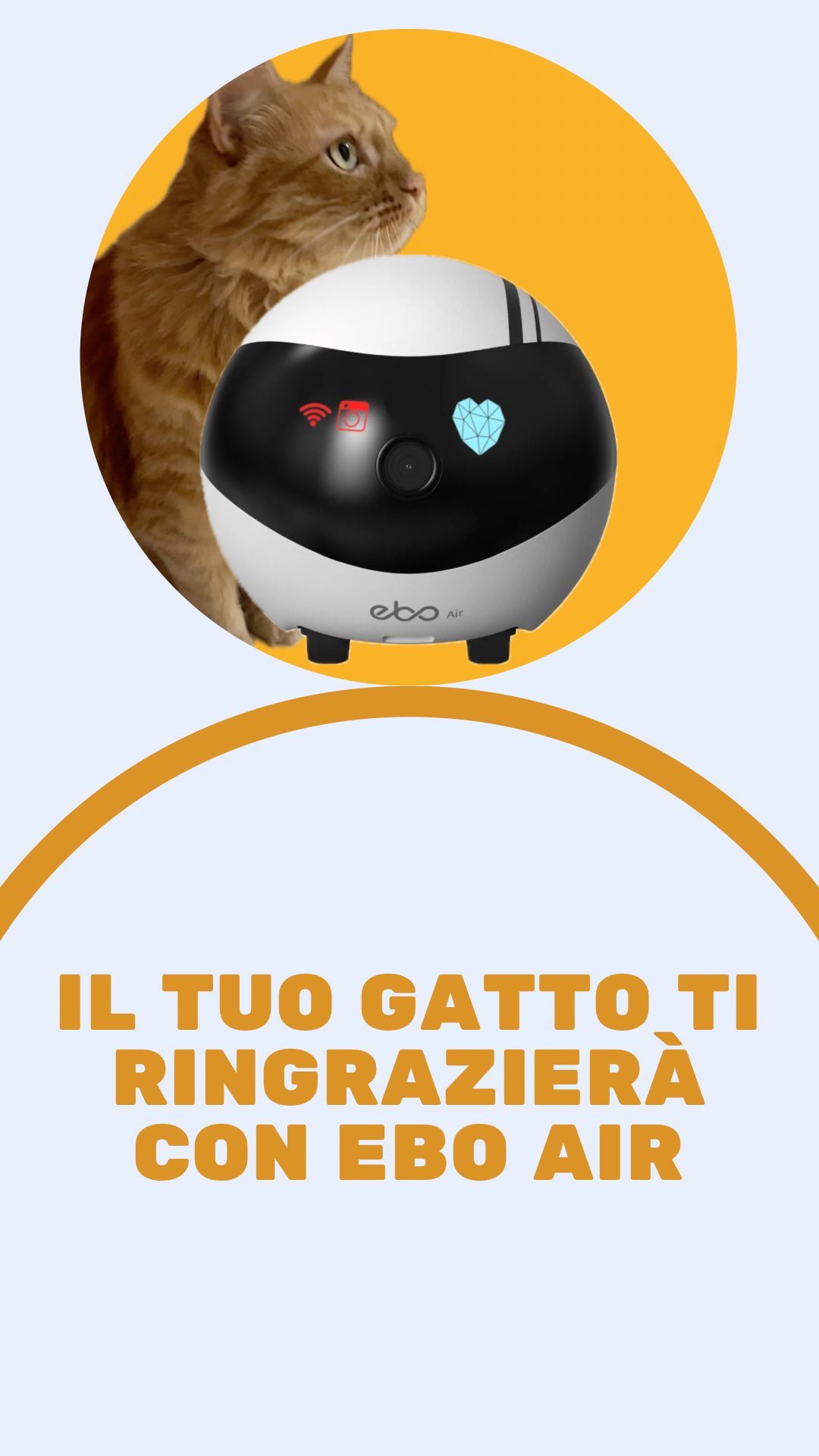 IL TUO GATTO NON SI SENTIRÀ PIÙ SOLO. 
La mia gattina ormai lo adora… ci gioca e viene stimolata sempre e a tutte le ore