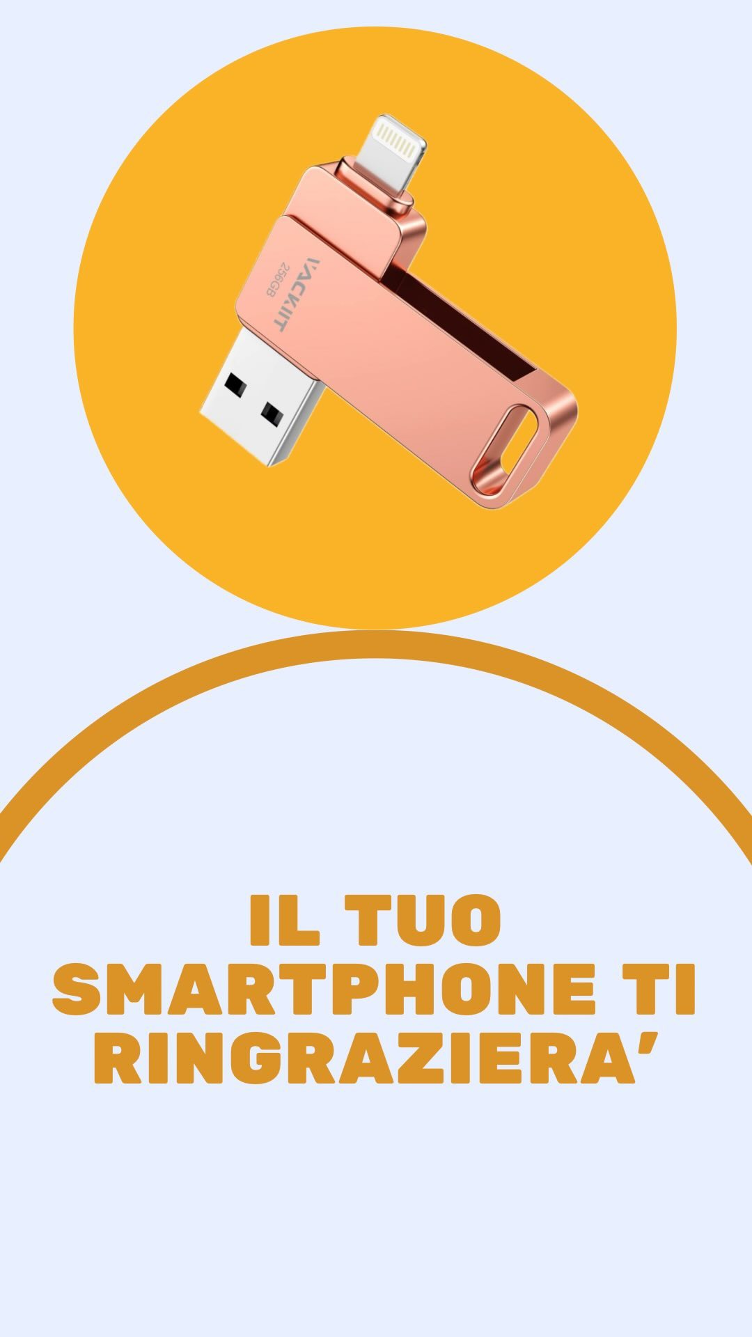 Libera la memoria al tuo dispositivo. 

🟥Chiavetta USB Vackiit certificata Apple per Phone 256gb, memoria reale e non fa