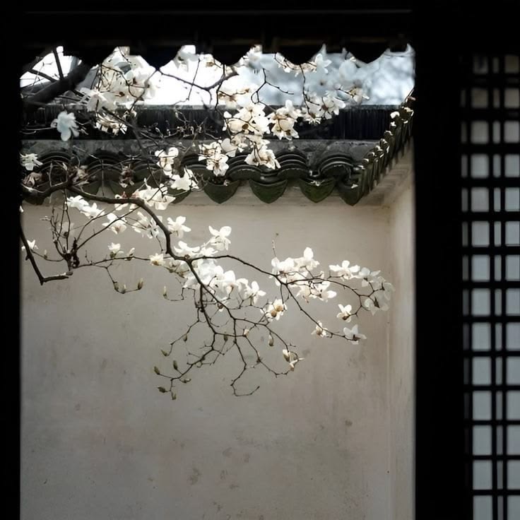 shopmy ~ the artist's palate, if you will (coming soon...) thumbnail