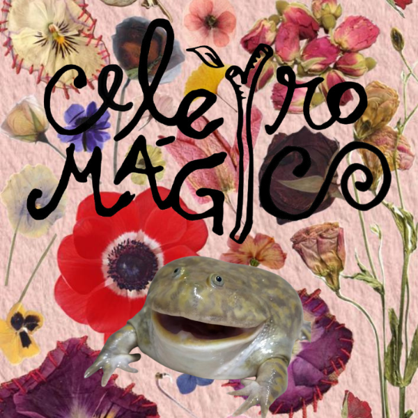 Workshop Flores que Falam: Crie sua Essência Floral thumbnail