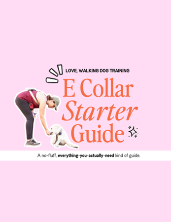 E Collar Starter Guide thumbnail