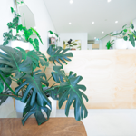 Send us an Anonymus Message thumbnail