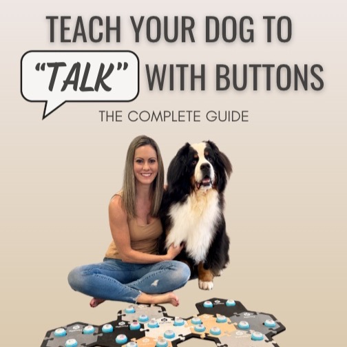 🔘 Teach Your Dog to "Talk" with Buttons: The Complete Guide - A step-by-step beginner training guide to get your dog "talking" like Riggie!  thumbnail