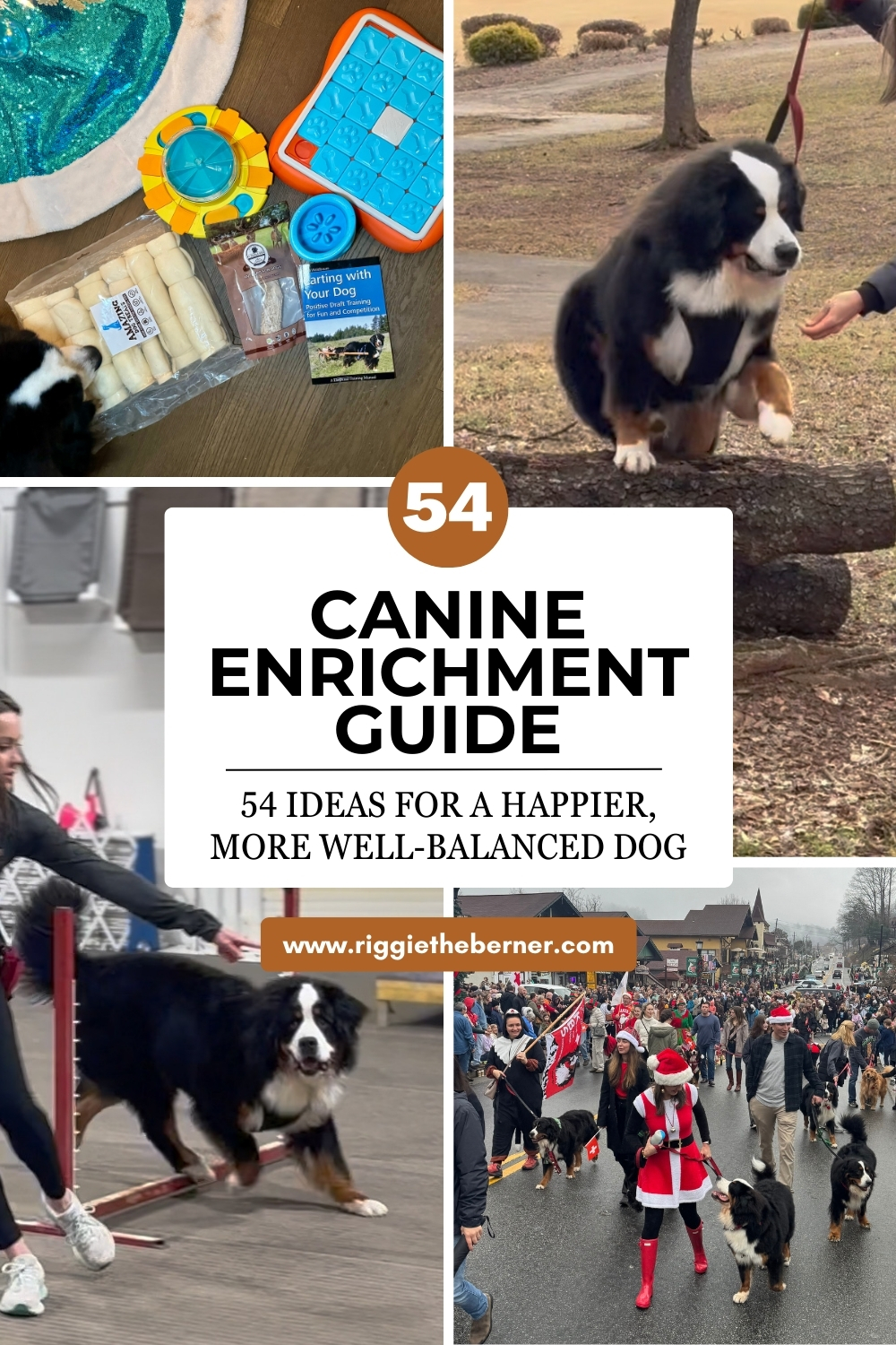 🧩 FREE Canine Enrichment Guide: 54 Ideas for a Happier, More Well-Balanced Dog thumbnail