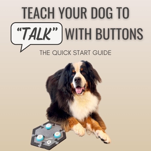 🔘 FREE Teach Your Dog to "Talk" with Buttons: The Quick Start Guide - Curious about button training and want to learn more? Start here! thumbnail