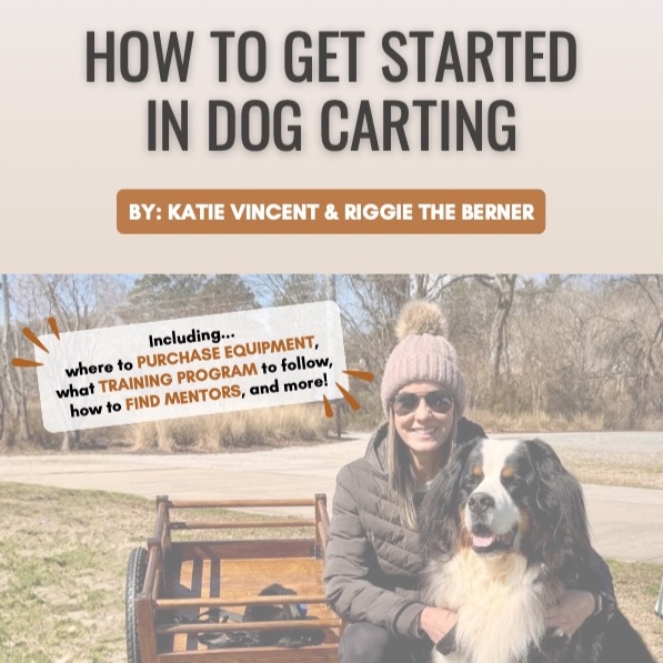 🐕‍🦺 How to Get Started in Dog Carting - what training program to use, where to purchase equipment, how to find mentors, over 30 resource links, & more! thumbnail
